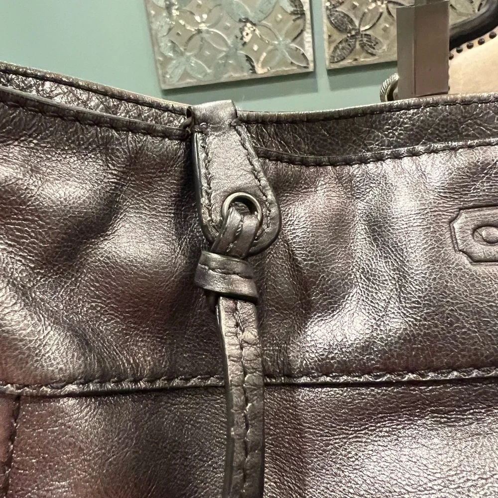 Coach Leather Zoe Hobo Bag